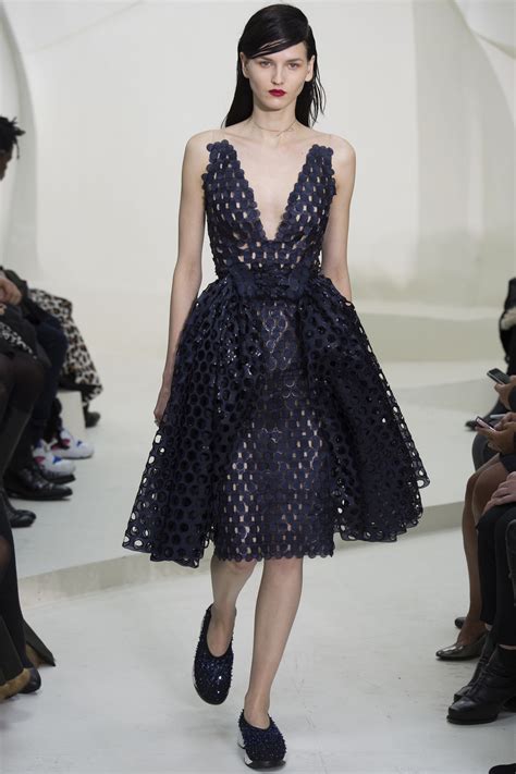 wwd dior spring couture 2014|Christian Dior Couture Spring/Summer 2014 .